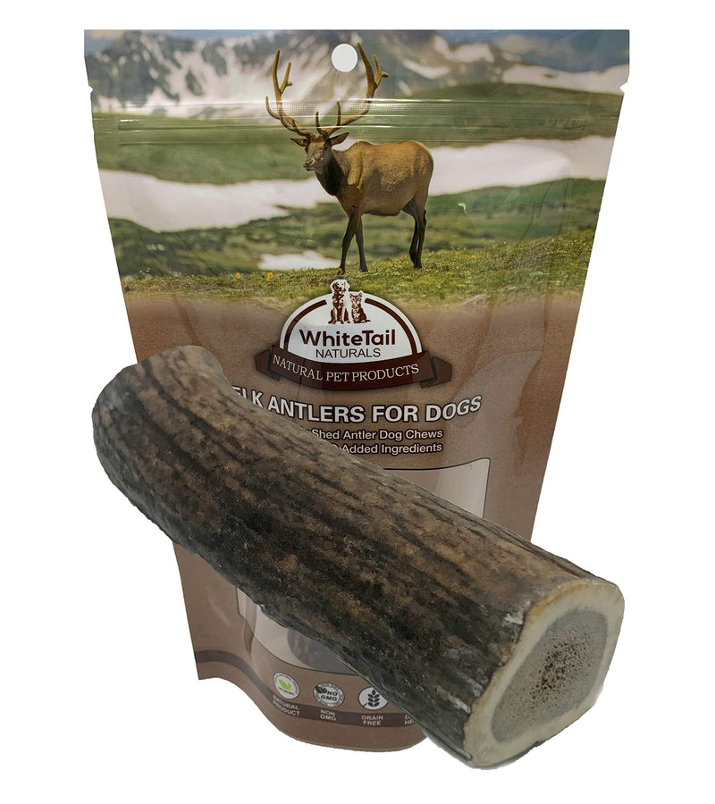 [Australia] - WhiteTail Naturals Premium XL Whole Elk Antler for Dogs (1- Pack XLarge) Organic Natural Dog Chews | Extra Large Antler Chew | Naturally Shed 