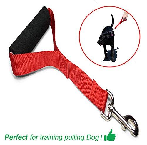 [Australia] - Short Dog Leash Nylon with Padded Triangle Traffic Handle 12 inch Perfect for Pulling Dogs Red Blue 