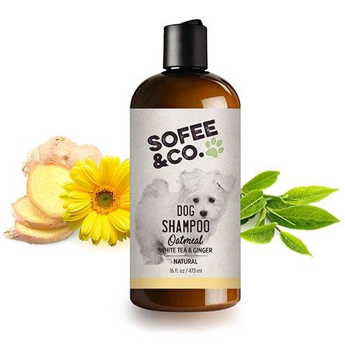 [Australia] - Sofee & Co. Natural Oatmeal Dog Puppy Shampoo - Clean Moisturize Soothe Soften Norma, Dry Itchy Allergy Sensitive Skin. Deodorize and Detangle 16 oz (White Tea & Ginger) 