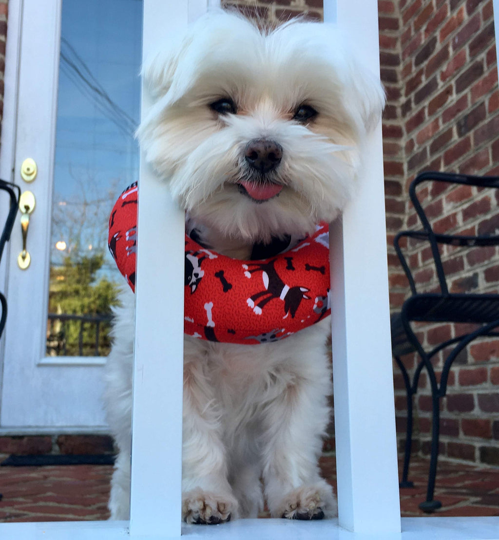 [Australia] - Puppy Bumpers Red Dog - Made in USA 100% Cotton Stuffed Safety Fence Collar to Keep Your pet Safely on The Right Side of The Fence. Up to 10" 