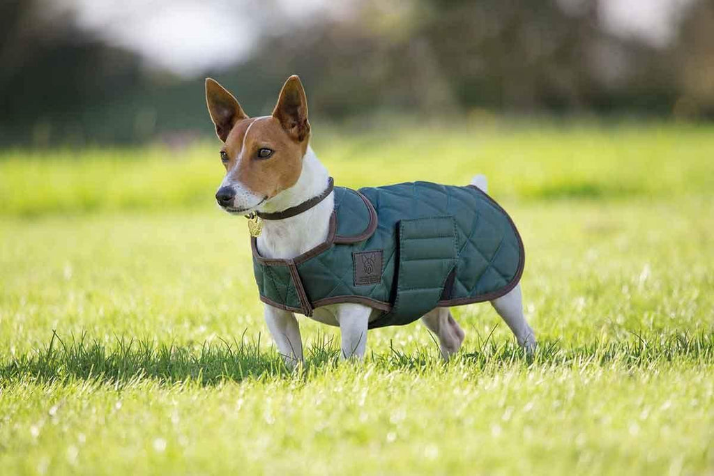 [Australia] - Shires Digby & Fox Quilted Dog Coat Small Dark Green 