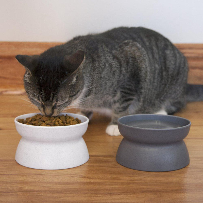 Kitty City Raised Cat Food Bowl Collection, Stress Free Pet Feeder and Waterer 2 Bowls/Modern - PawsPlanet Australia