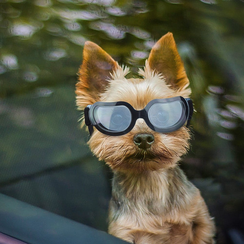 Enjoying Small Dog Goggles Anti-UV Dog Sunglasses Windproof Snowproof Doggy Glasses with Flexible Straps for Cat, Puppy Black - PawsPlanet Australia