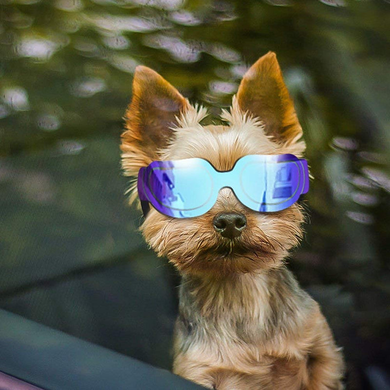 [Australia] - Enjoying Small Dog Sunglasses - Dog Goggles for UV Protection Sunglasses Windproof with Adjustable Band for Puppy Doggy Cat Blue 