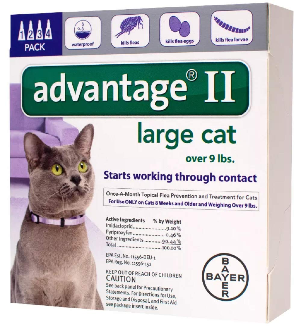 Bayer Advantage II Flea and Tick Treatment for Large Cats, 4 Monthly Treatments - PawsPlanet Australia