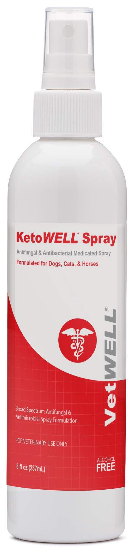 KetoWELL Chlorhexidine & Ketoconazole Medicated Spray for Dogs & Cats - Hot Spot Treatment, Skin Infections and Conditions, Acne - Aloe & Vitamin E - 8 oz - PawsPlanet Australia
