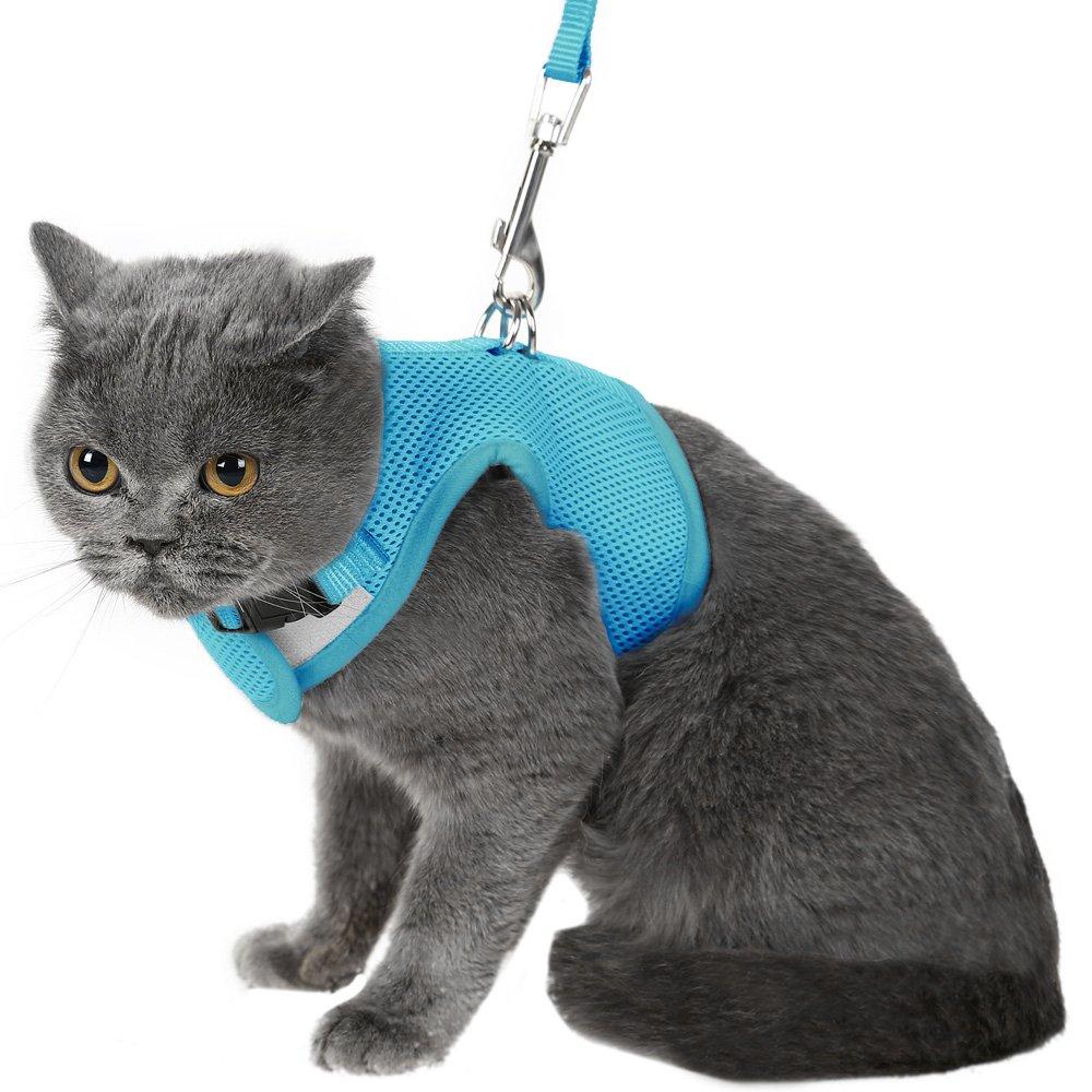 [Australia] - Escape Proof Cat Harness with Leash Adjustable Soft Mesh - Best for Walking S Blue 