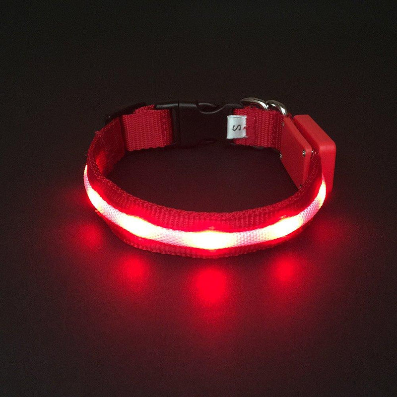 [Australia] - HOLDALL Led Dog Collar Light, USB Rechargeable Lighted Up Collars Glowing in Dark Make Pets Safe from Danger at Night Small Red 