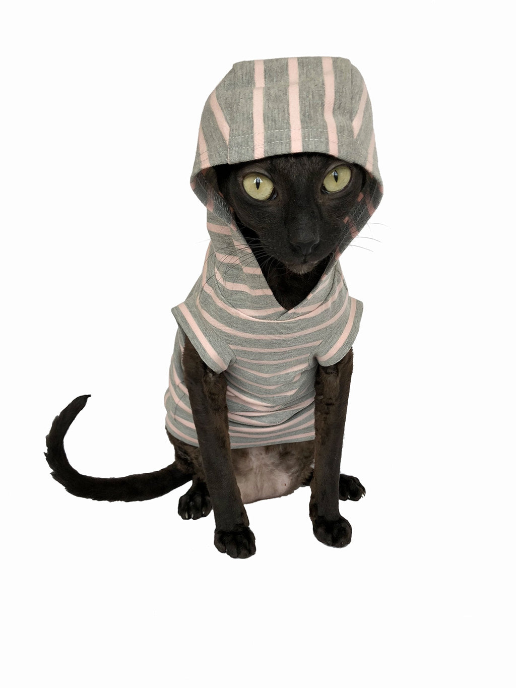 [Australia] - Kotomoda Cat's Hoodie New Pajamas XL 