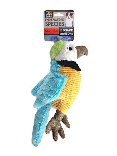[Australia] - American Kennel Club Endangered Species ES13 Macaw Dog Toy 