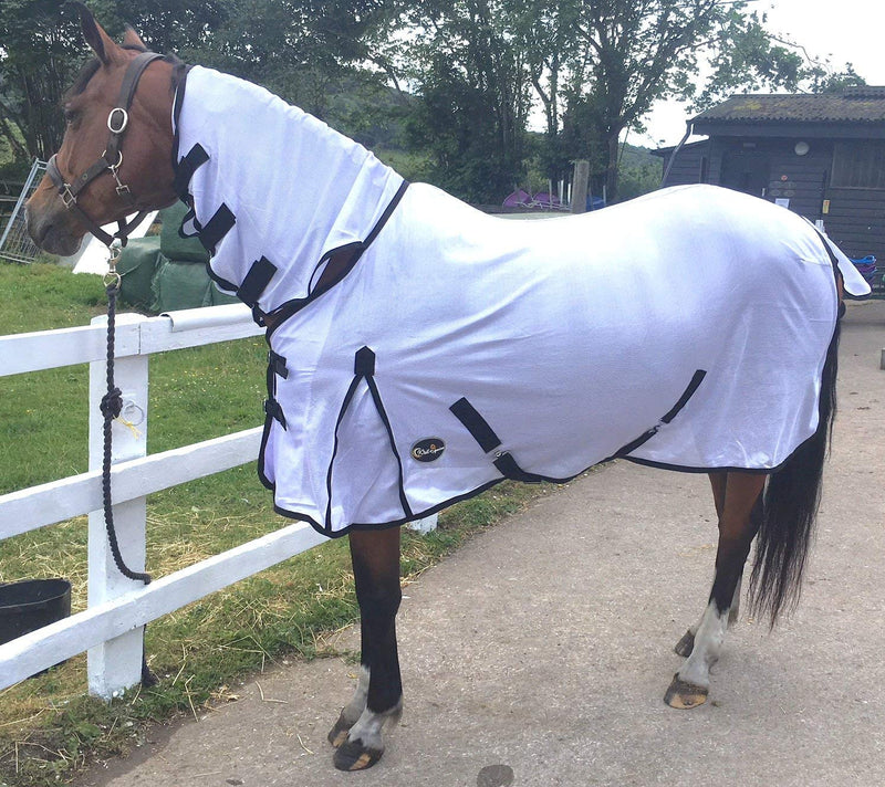 Cwell Equine Heavy Mesh Horse fly rug combo attached neck cover White Choice of Sizes (6'3") 6'3" - PawsPlanet Australia
