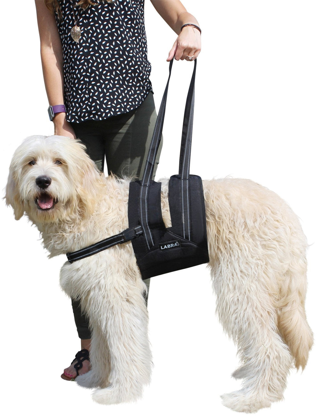 [Australia] - Labra Veterinarian Approved Dog Canine K9 Sling Assist with Chest Strap Adjustable Reflective Straps Support Harness Helps with Loss of Stability Joint Injuries Arthritis ACL Rehabilitation Rehab Large 