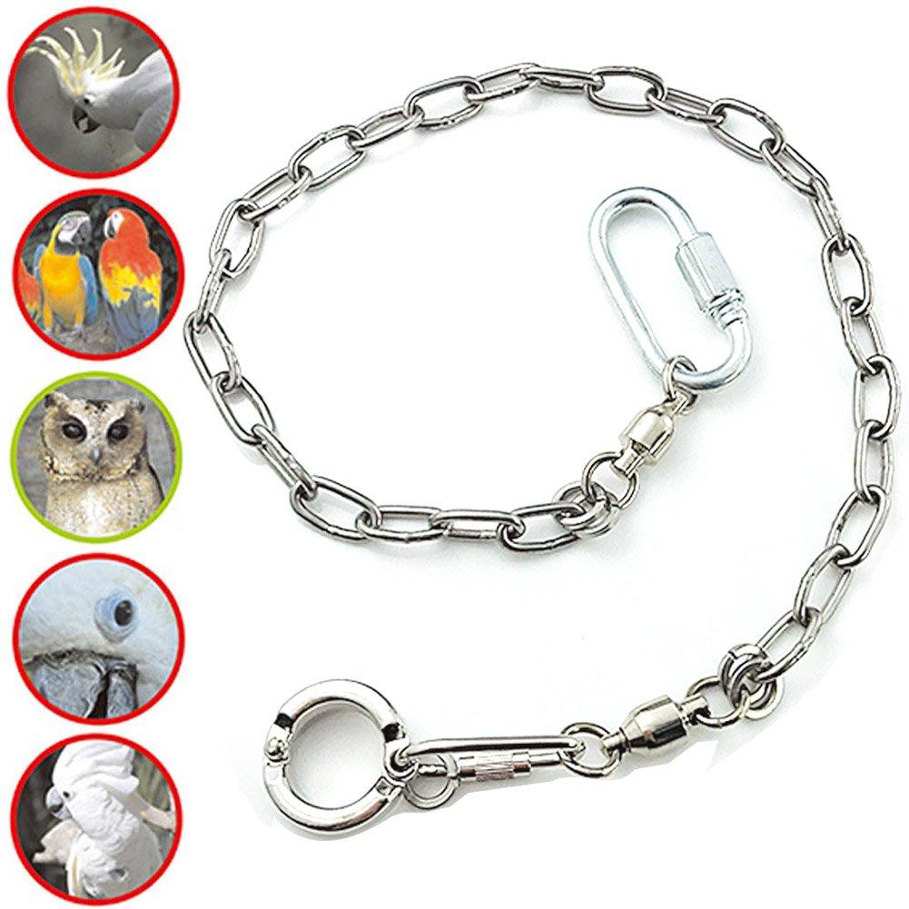 [Australia] - ebamaz Pet Bird Leash Parrot Foot Chain Stainless Steel 304 Anklet Ring (Model 15, 14.5mm) Model 15 (14.5mm) 