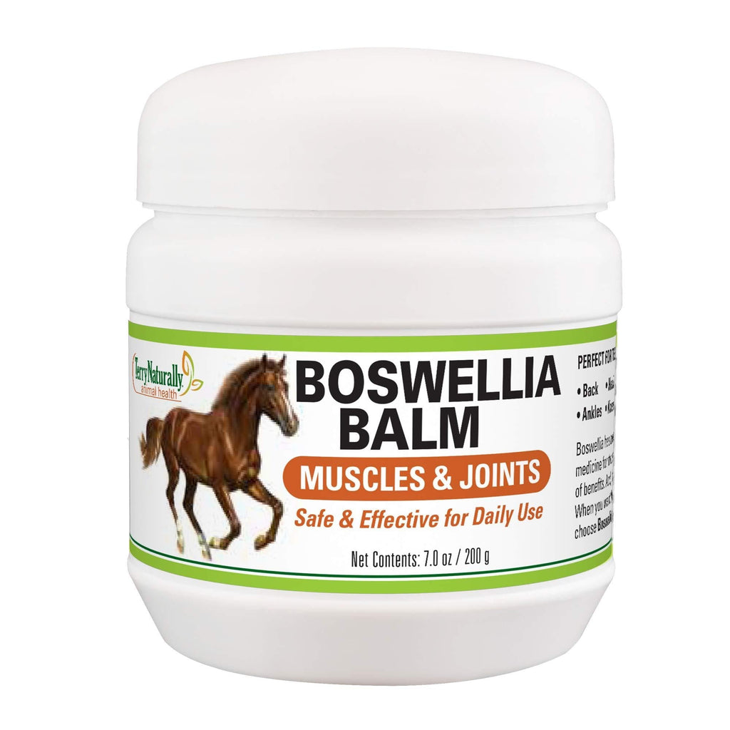 Terry Naturally Animal Health Boswellia Balm - 7 oz. - Muscle & Joint Support for Horses - Safe & Effective for Daily Application - For Equines Only - USA Laboratory Tested - PawsPlanet Australia