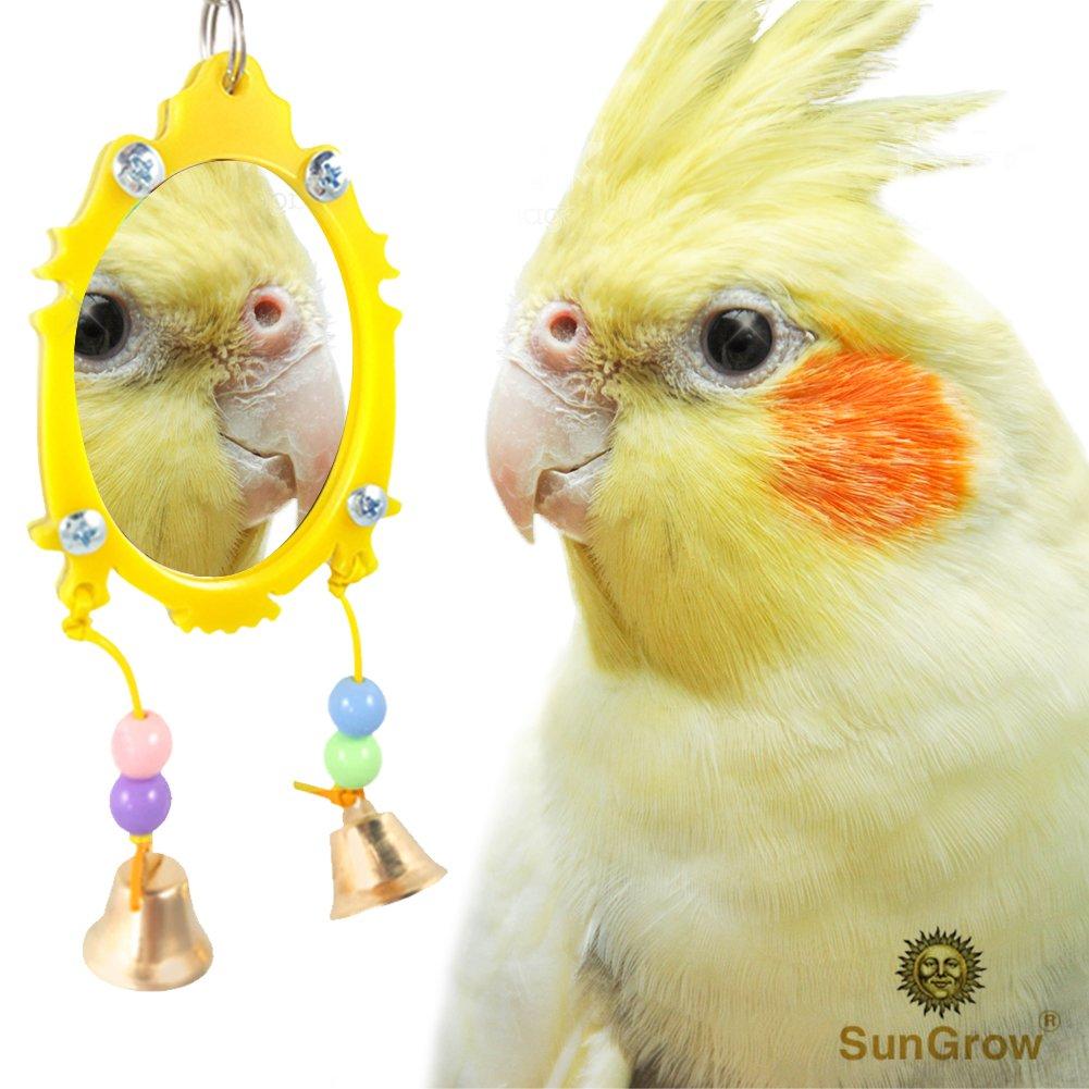 [Australia] - SunGrow Fancy Bird Toy Mirror with Bells, 11-inches (Height) 3-inches (Width), Plastic Edging and Beads, Colorful, Attractive and Easy to Install Pet Toy for Parakeets, Cockatoos, Canaries 