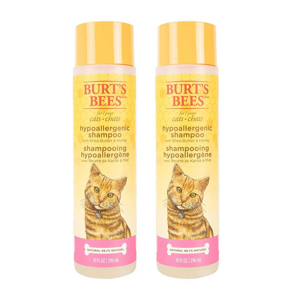 Burt's Bees for Pets For Cats Natural Hypoallergenic Shampoo With Shea Butter and Honey | Cat Shampoo, 10 Ounces - 2 Pack (FF5766AMZ2) - PawsPlanet Australia