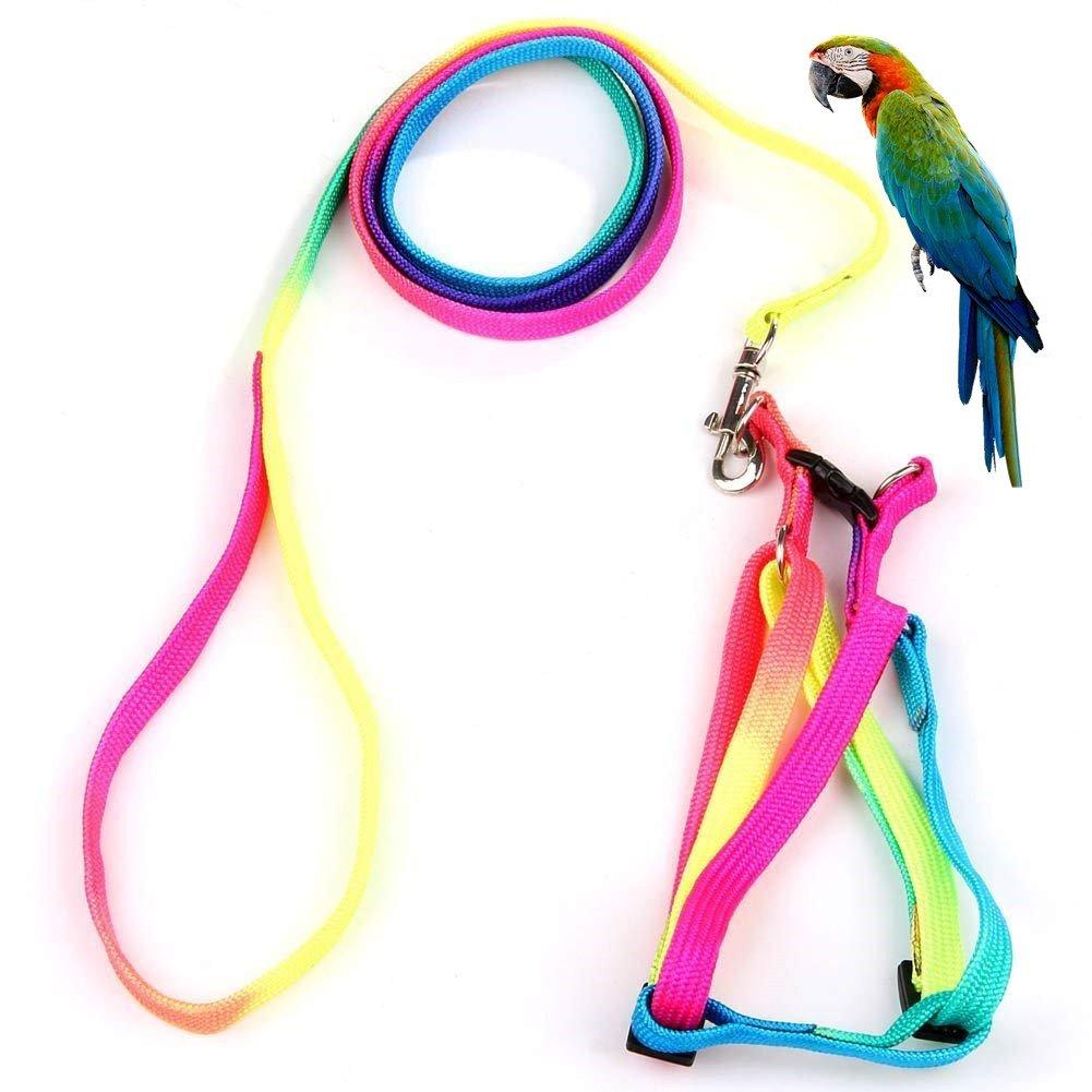 Pet Bird Harness and Leash with Buckle Adorable Rainbow Design Safe Parrot Leash Pet Harness Outdoor Adjustable Anti Bite Training Rope for Macaw Large Size Bird (L: 1.5cm × 47.24in) L: 1.5cm × 47.24in - PawsPlanet Australia
