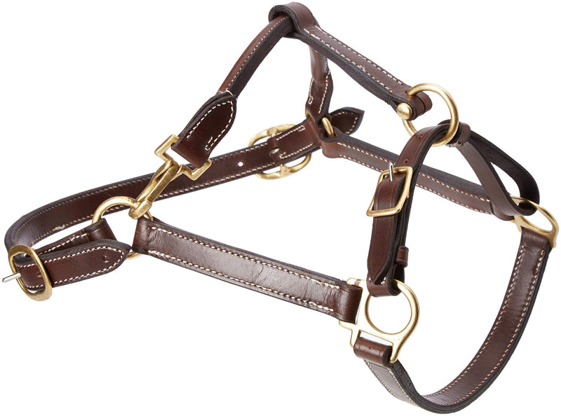 Cwell Equine New OILED LEATHER HEADCOLLAR Newmarket Brown Choice of sizes F/C/P (COB) COB - PawsPlanet Australia