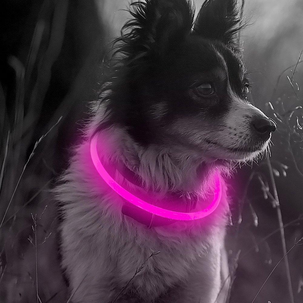 [Australia] - Illumifun LED Dog Collar, USB Rechargeable Light Up Collar, 360 Degree Glowing Pet Collar, DIY Cuttable Flashing Collar for Your Small Medium Large Dogs Candy Pink 