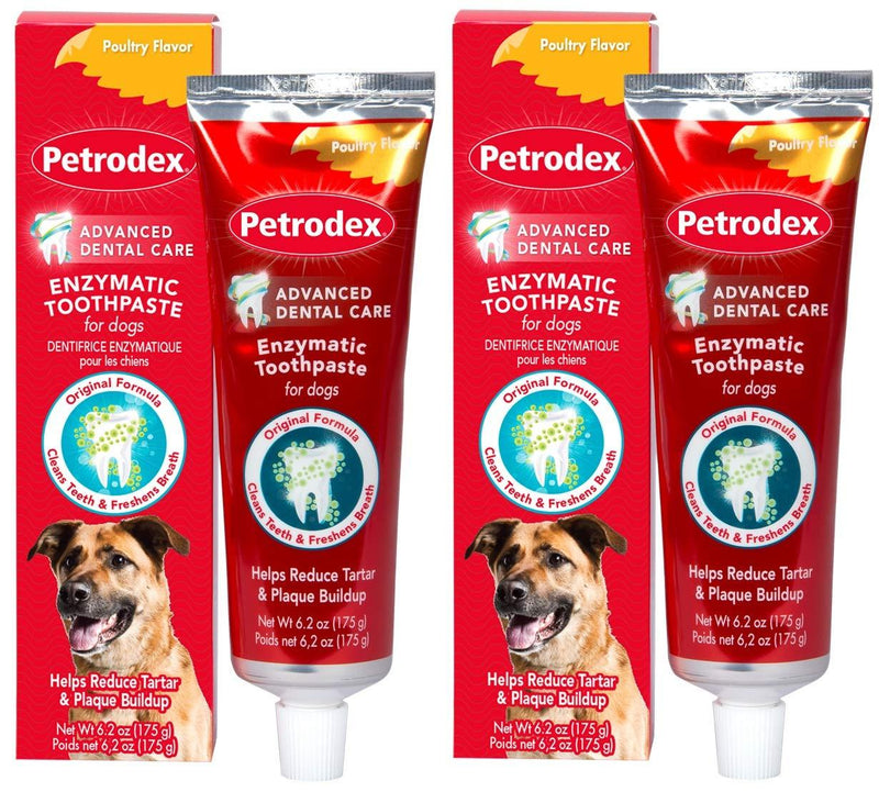 Petrodex Enzymatic Toothpaste for Dogs, Helps Reduce Tartar and Plaque Buildup, Poultry Flavor, 2 Pack - PawsPlanet Australia