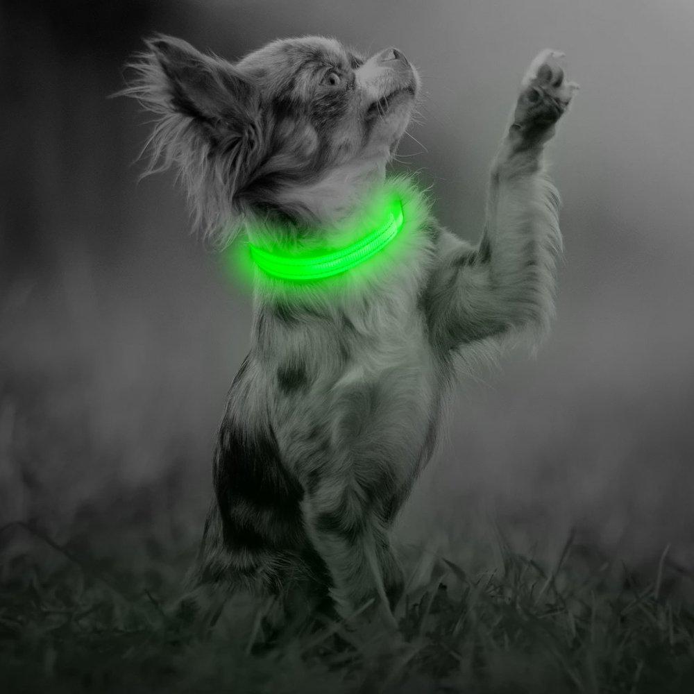 [Australia] - Illumifun LED Dog Collar, USB Rechargeable Nylon Webbing Adjustable Glowing Pet Safety Collar, Reflective Light Up Collars for Your Dogs X-Small Collar [8.5-11.8inch/22-30cm] Green3 