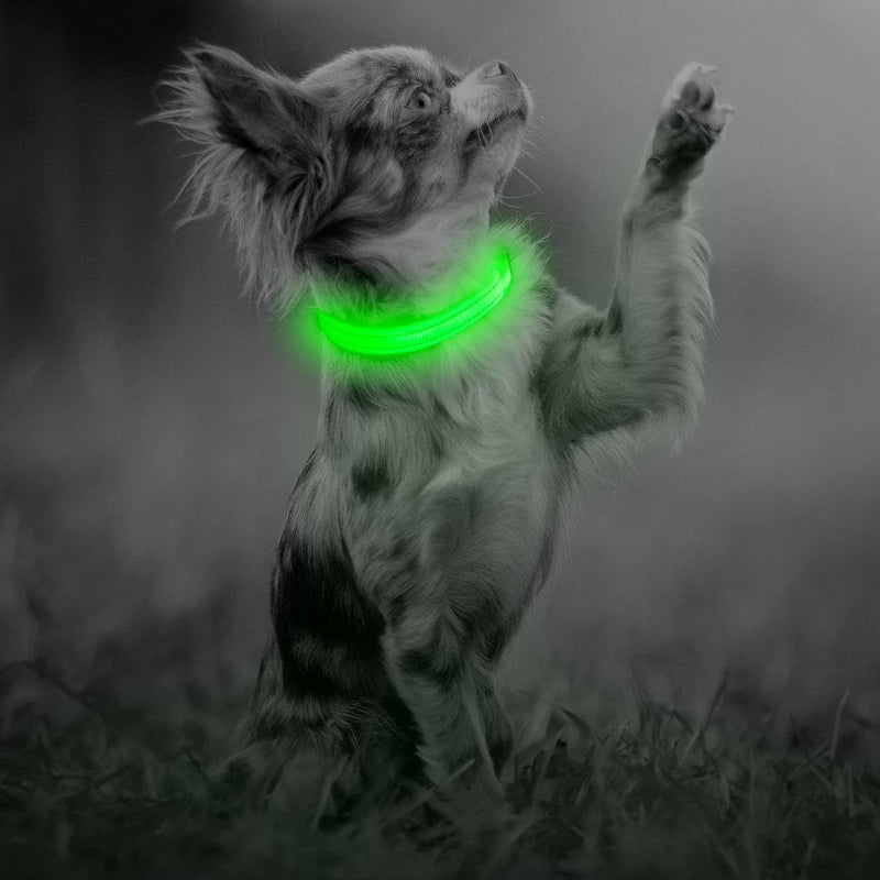 [Australia] - Illumifun LED Dog Collar, USB Rechargeable Nylon Webbing Adjustable Glowing Pet Safety Collar, Reflective Light Up Collars for Your Dogs X-Small Collar [8.5-11.8inch/22-30cm] Green3 