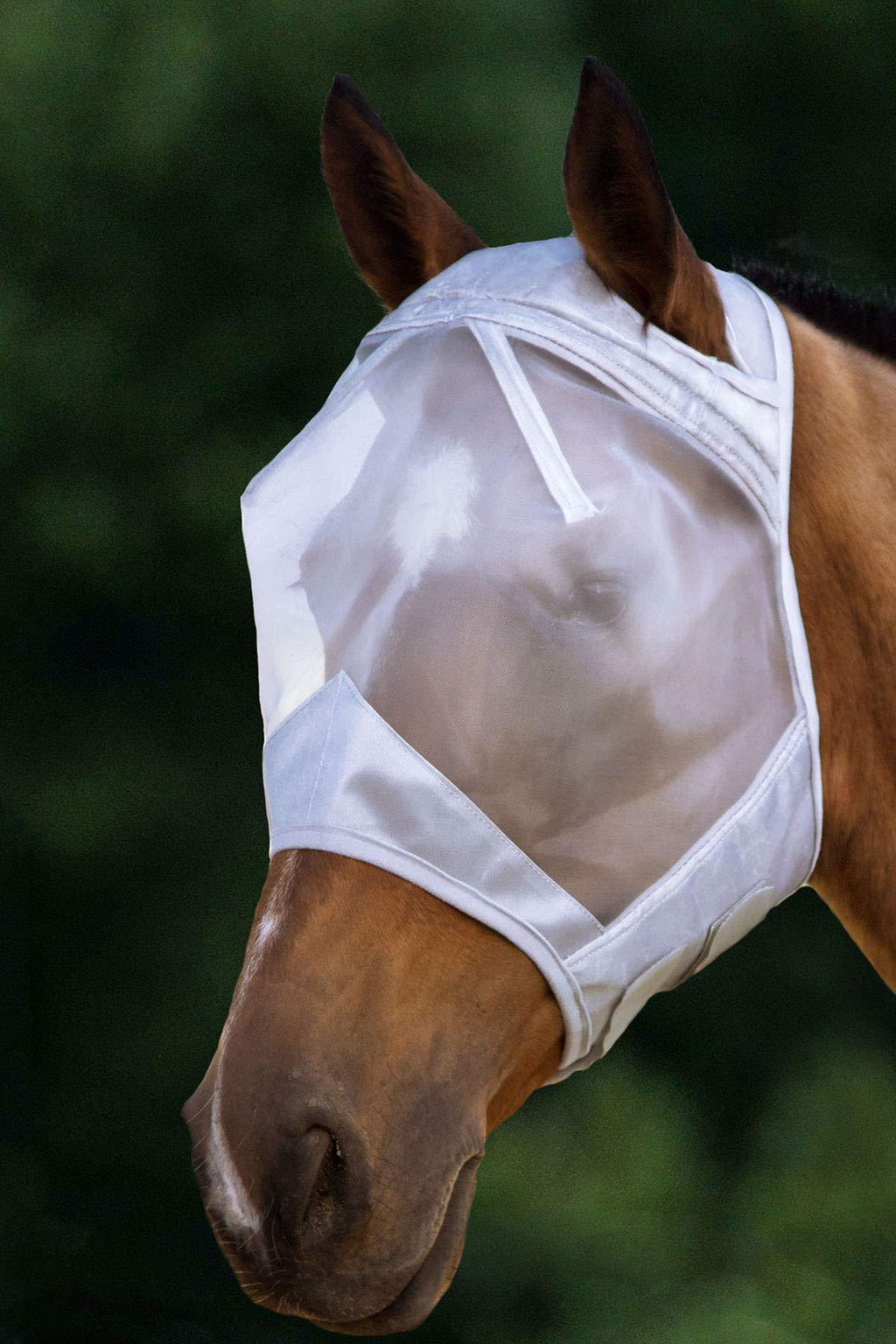 Harrison Howard CareMaster Fly Mask Standard Moonlight Silver (XL; Extra Full) Extra Full (XL) - PawsPlanet Australia