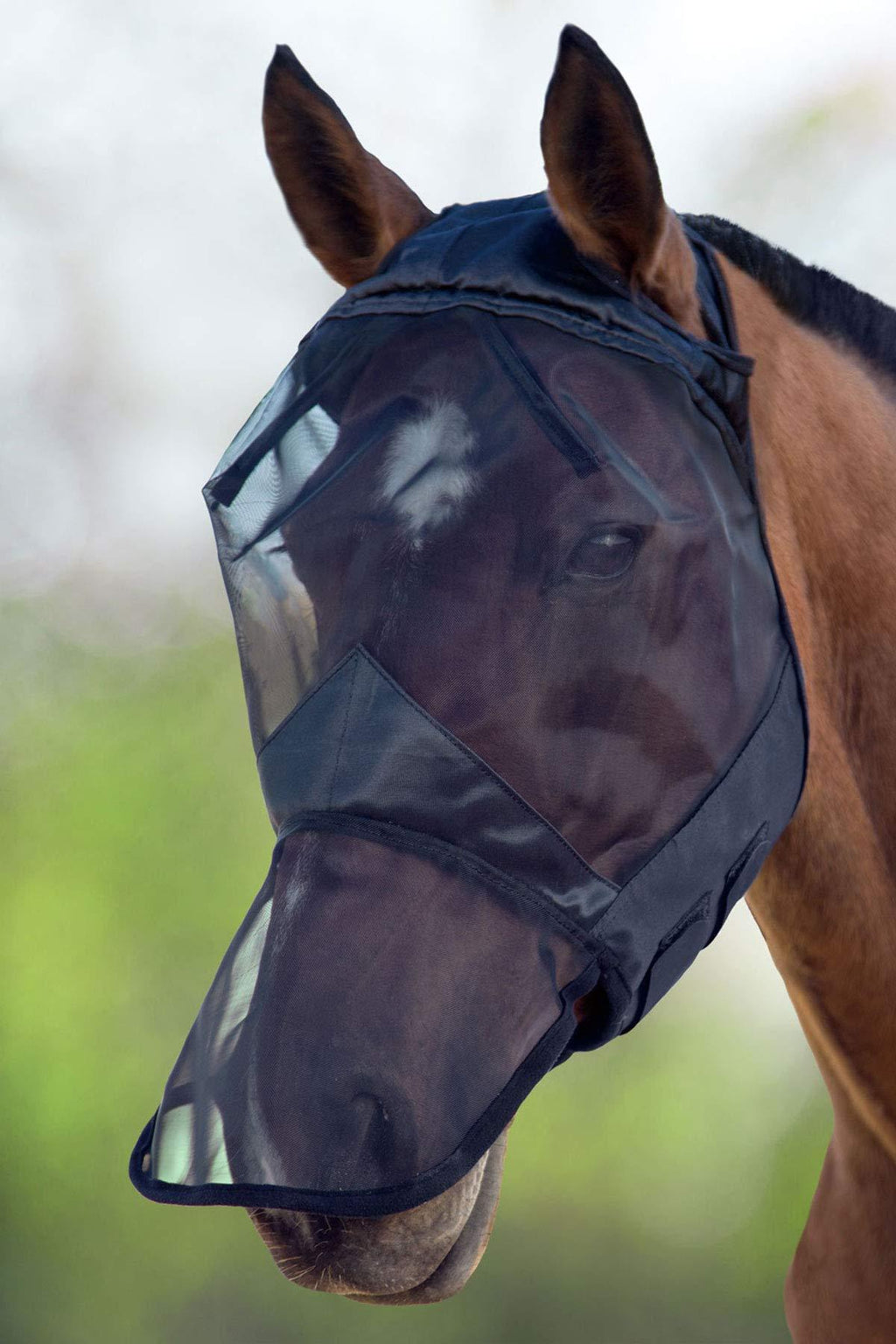 Harrison Howard CareMaster Fly Mask Standard with Nose Piano Black … Cob (M) - PawsPlanet Australia