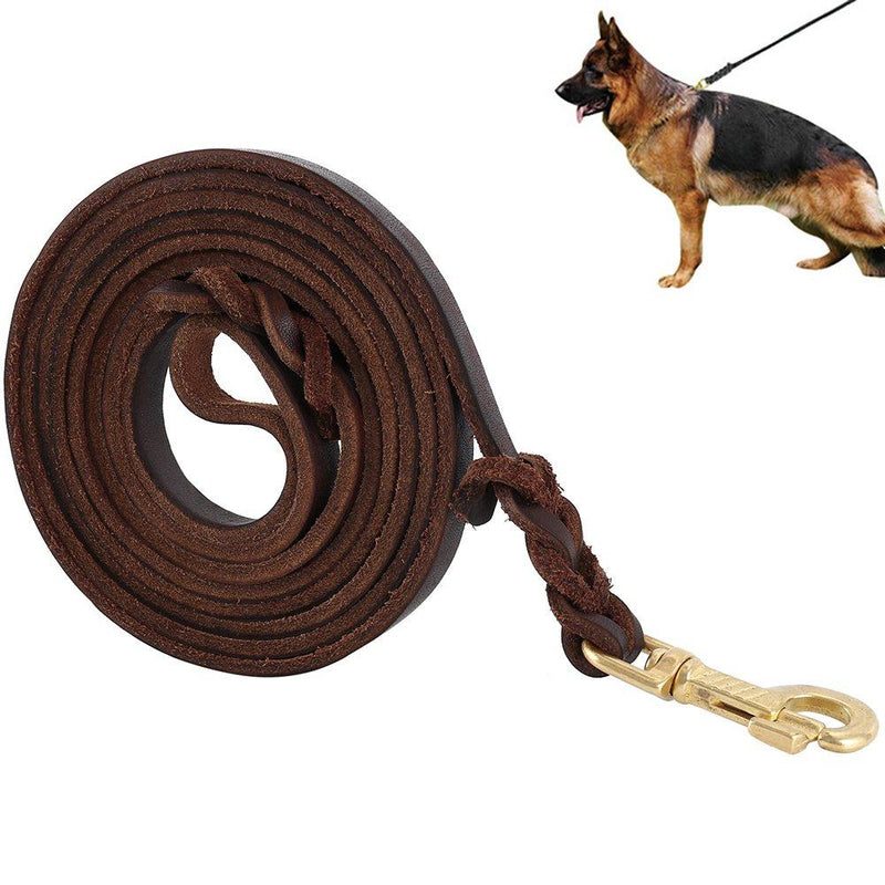 [Australia] - LITTLEGRASS 6/8/10 ft Braided Leather Dog Leash for Strong Medium Large Dogs, Premier Leather Heavy Duty Training Leash 10FT 