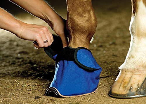 Equivet Slipper for Horses, X-Large - PawsPlanet Australia