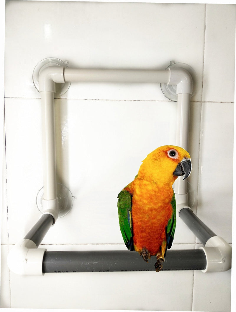 [Australia] - Hypeety Bird Portable Suction Cup Parrot Shower Perch Window Standing Platform Shower Bath Toy for Bird Parrot Macaw Cockatoo African Greys Budgies Parakeet Cockatiel 