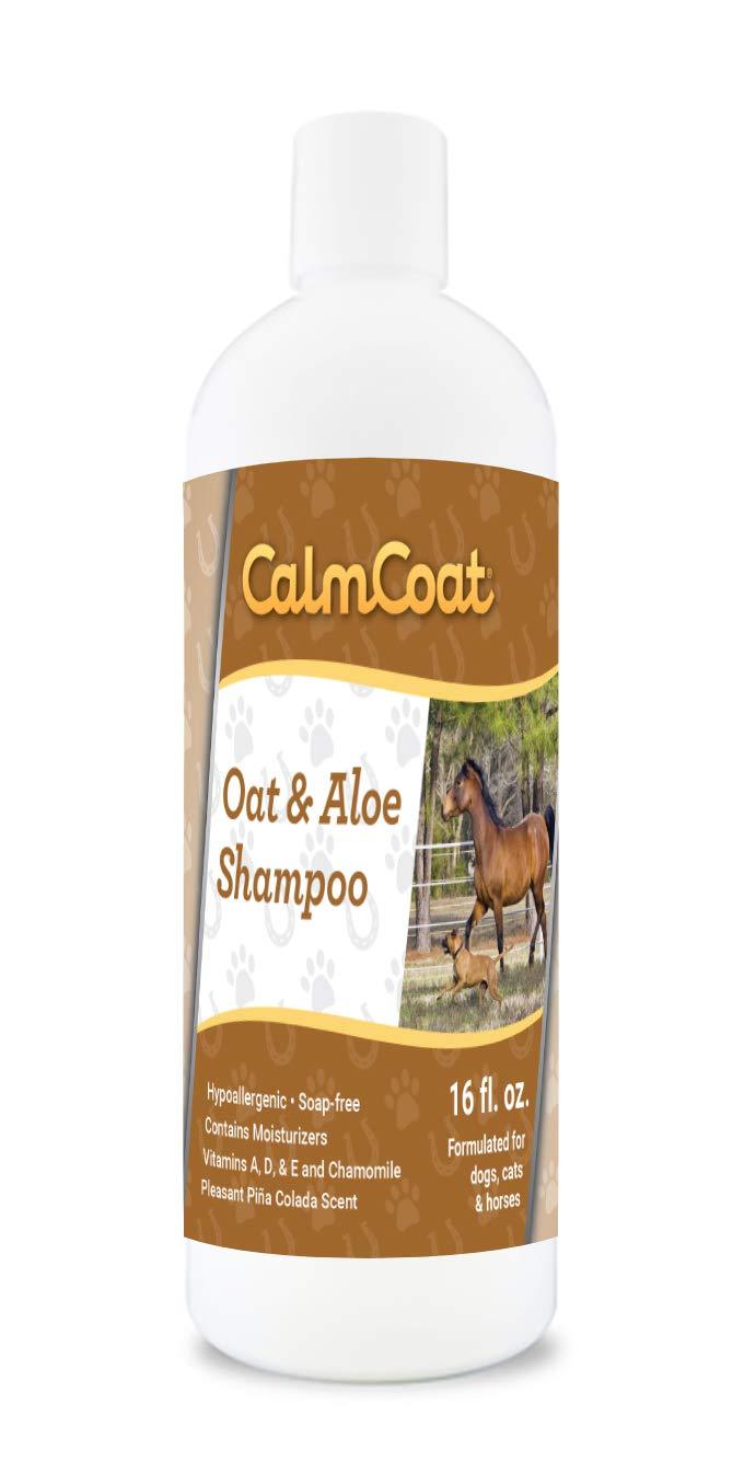 [Australia] - Calm Coat Oat & Aloe Shampoo for Horses Dogs & Cats - Hypoallergenic Formula with Vitamins & Chamomile - Safe with Flea Topicals - For Itchy, Sensitive Skin - Pina Colada Scent 16 oz 