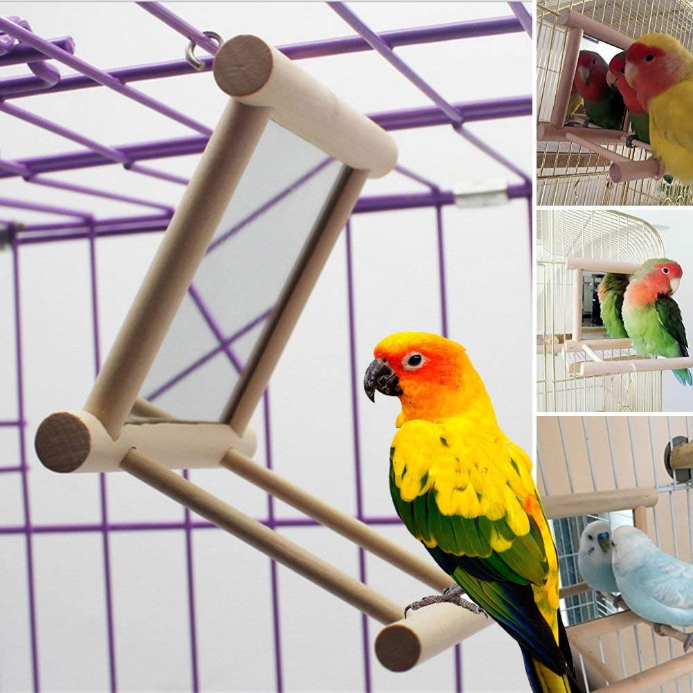 [Australia] - Blessed family Birds Toy for Cage,Parrot Hanging Swing with Mirror,Natural Wooden Play Toys, Pet Bird Cage Accessories with Metal Hook Wood 