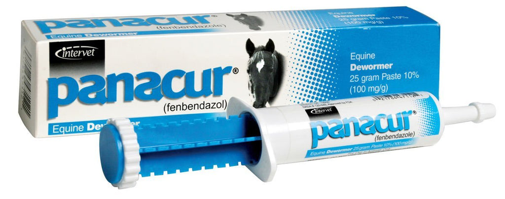 Equine Paste 10% Fenbendazole Horse Wormer 25 grams 1000 lbs/tube - PawsPlanet Australia