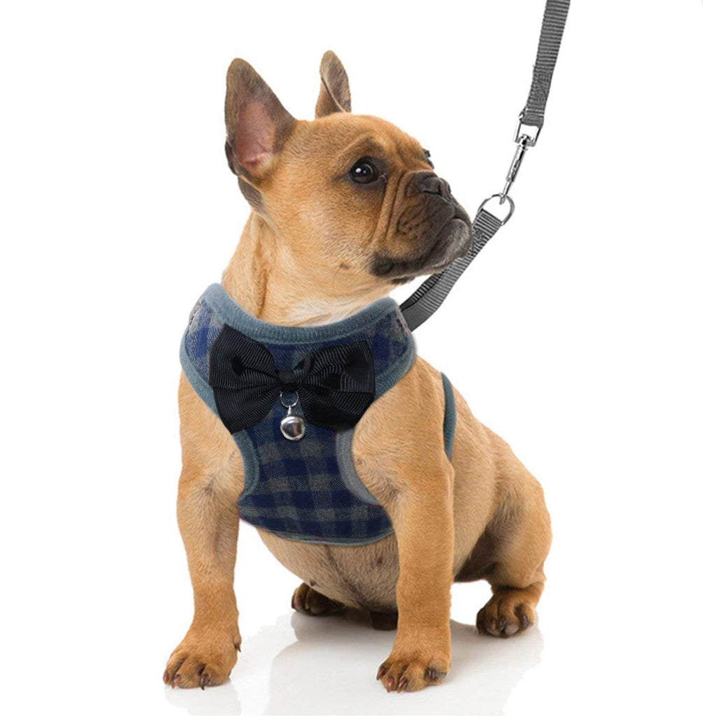 Rypet Small Dog Harness and Leash Set - No Pull Pet Harness with Soft Mesh Nylon Vest for Small Dogs and Cats Small (3-7 lbs) Blue - PawsPlanet Australia
