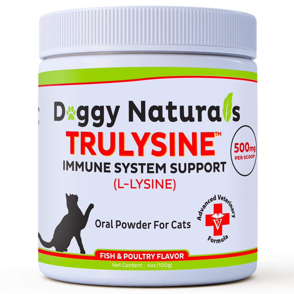 L-Lysine for Cats Immune Support Oral Powder - Cats & Kittens of All Age, Sneezing, Runny Nose Squinting, Watery Eyes Fish & Poultry Flavor (U.S.A) 100 Grams ( 500mg / Scoop) - PawsPlanet Australia