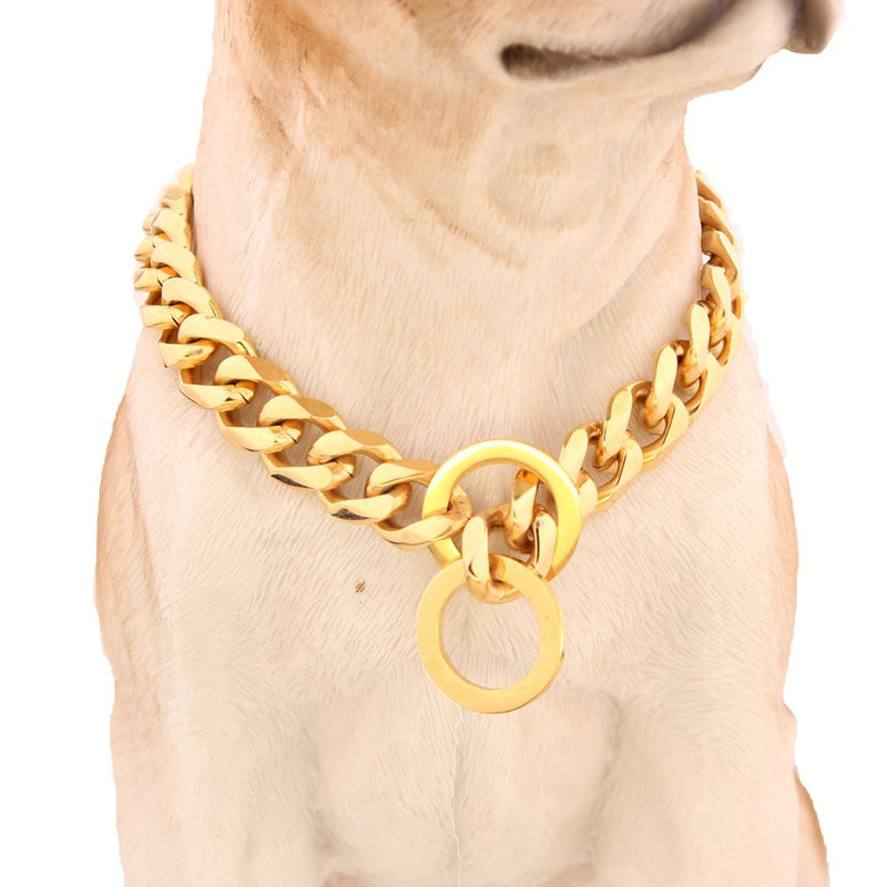 [Australia] - GZMZC 12/15/19mm Strong Gold Plated Stainless Steel Choker Dog Pet Chain Collars Necklace 12-36inch 12mm width 12" recommend dog's neck:8" 