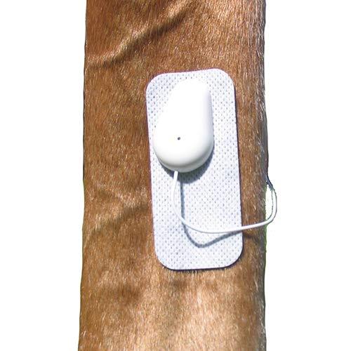 Microlief Under Wraps - Natural Pain Relief Therapy Patch for Equine Injury Prevention, Treatment, Recovery and Rehabilitation Basic - PawsPlanet Australia