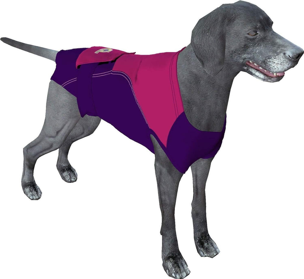 [Australia] - Surgi~Snuggly Washable Disposable Dog Diapers Keeper - for Male and Female Dogs - Fits Puppies to Adult Dogs - A Simple Solution to an Everyday Problem Large Long Plum/Swirl 
