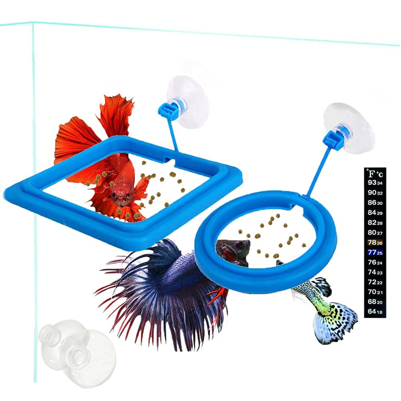 2 Pcs Fish Feeding Ring, Fish Safe Floating Food Feeder Circle Blue, with Suction Cup Easy to Install Aquarium, Square and Round Shape Fish Tank Towels - for Guppy, Betta, Goldfish, Etc. A blue - PawsPlanet Australia