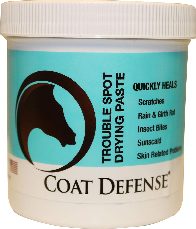 [Australia] - COAT DEFENSE Trouble Spot Drying Paste 24 oz 