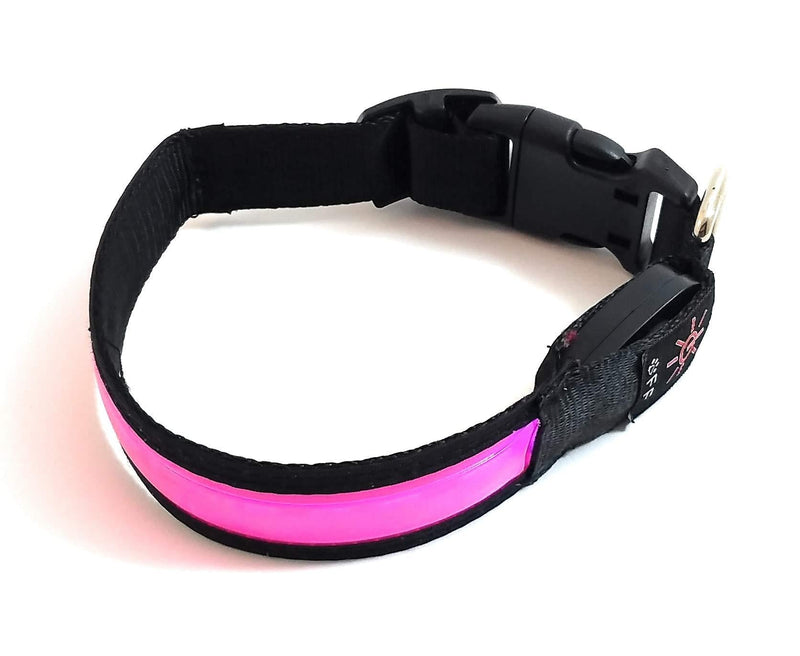 [Australia] - BrightPaws Rechargeable LED Light up Dog Collar, Water Resistant, Small, Medium, Large Pink 