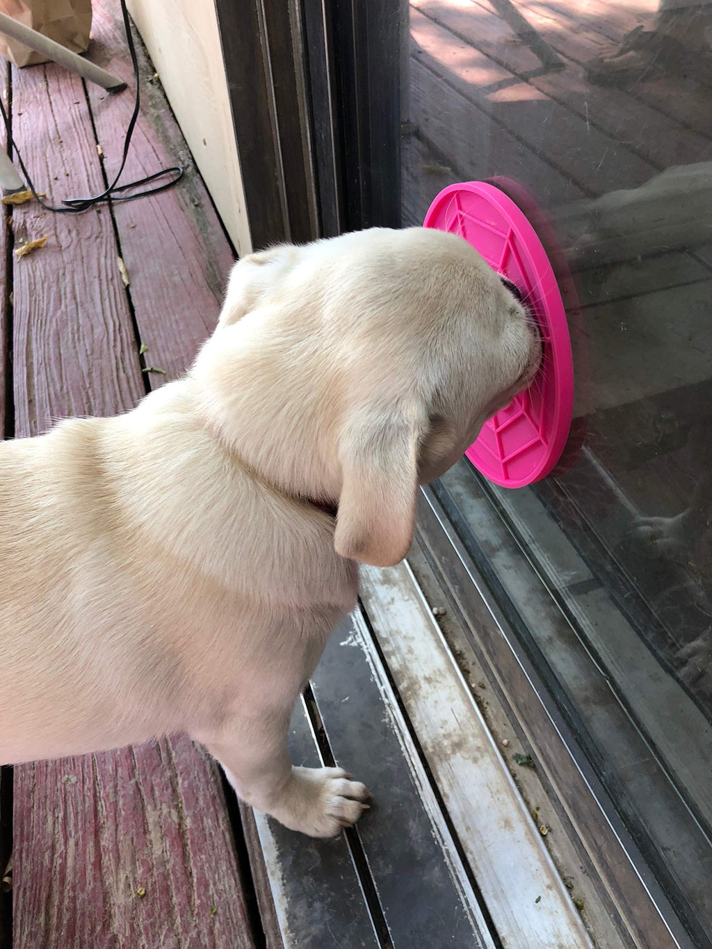 [Australia] - WHITEPUG! 'Licking Suction PAD for Dogs' Upgraded (Pink) 