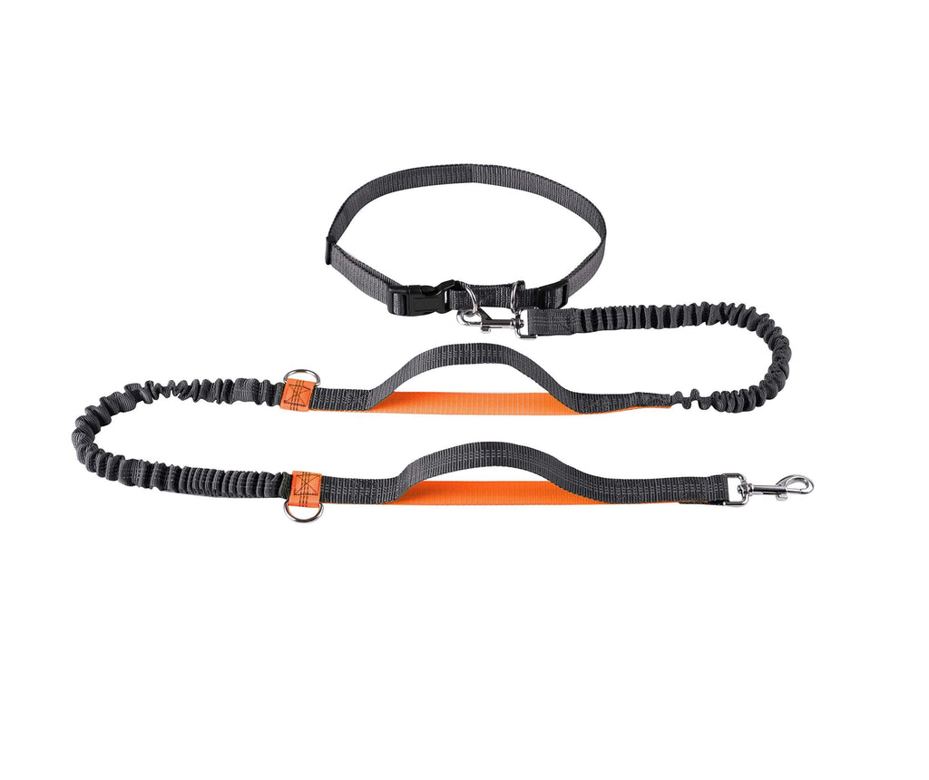 [Australia] - April Pets' Hands Free Retractable Dog Leashes, Adjustable Waist Belt for Running, Jogging and Walking, Free Control for Up to 150 lbs Large Dogs, Bungee Leash Orange 