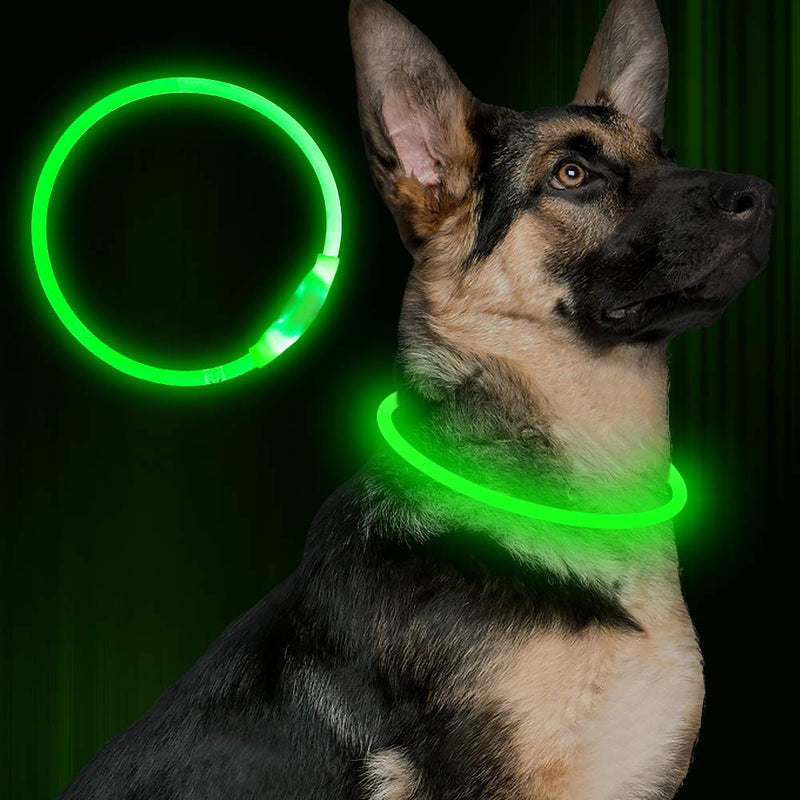 [Australia] - BSEEN LED Dog Collar, USB Rechargeable, Glowing Pet Dog Collar for Night Safety, Fashion Light up Collar for Small Medium Large dogs Green 