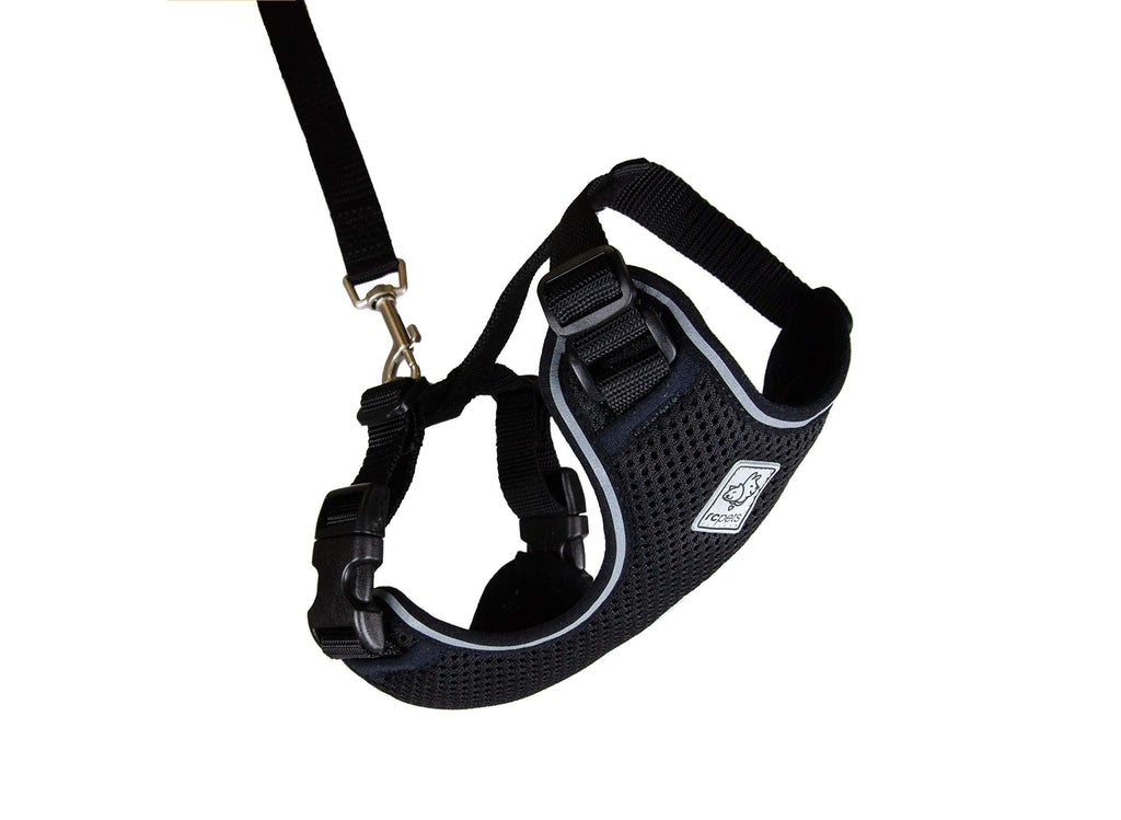 RC Pet Products Primary Collection Adventure Kitty Harness Small Black - PawsPlanet Australia