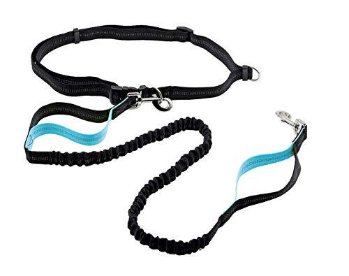 [Australia] - Akapet Hands Free Dog Leash for Running, Walking, Jogging, Training, Hiking, Dual Handle Leash Shock Absorbing, Durable & Adjustable Waist Belt Free Control for up to 150 lbs Large Dogs 