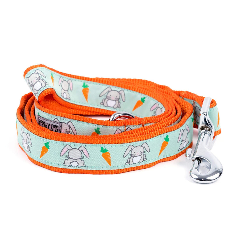 [Australia] - The Worthy Dog Bunnies and Carrots Kawaii Designer Pet Dog Strong and Comfortable Nylon Webbing Lead Fits Small, Medium and Large Dogs, Mint Green Color 1 x 5 inch 