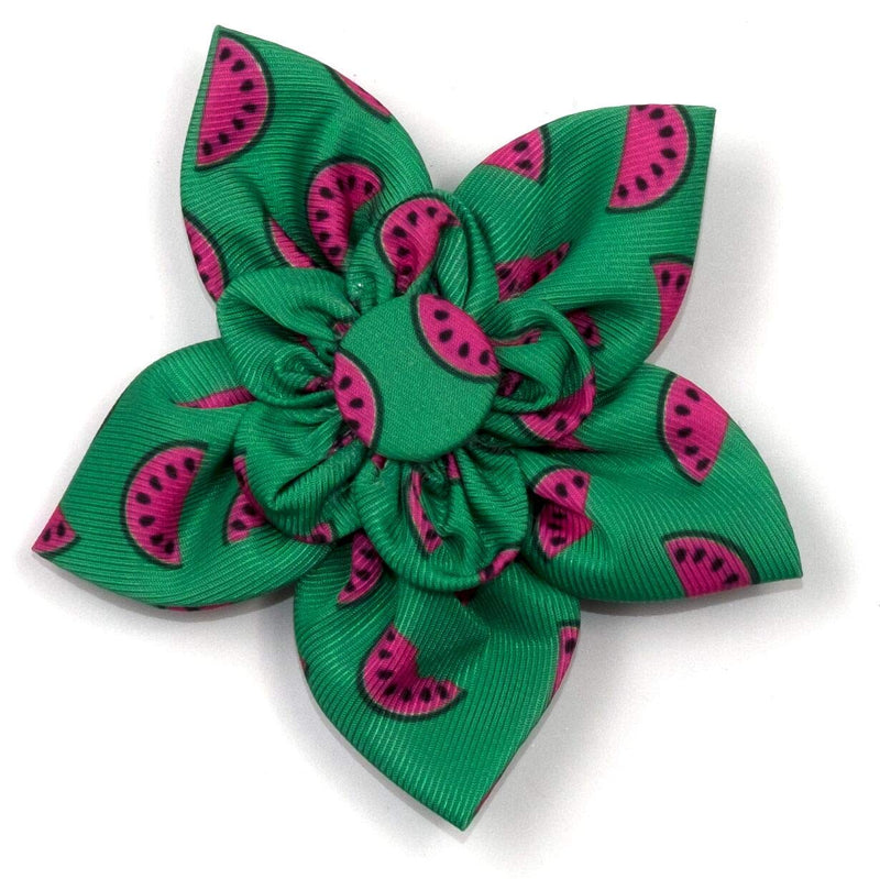 [Australia] - The Worthy Dog Watermelon Slices Pattern Designer Collar Flower Fashion Accessories for Pets Fit Small Medium and Large Cat Dogs - Green Color 