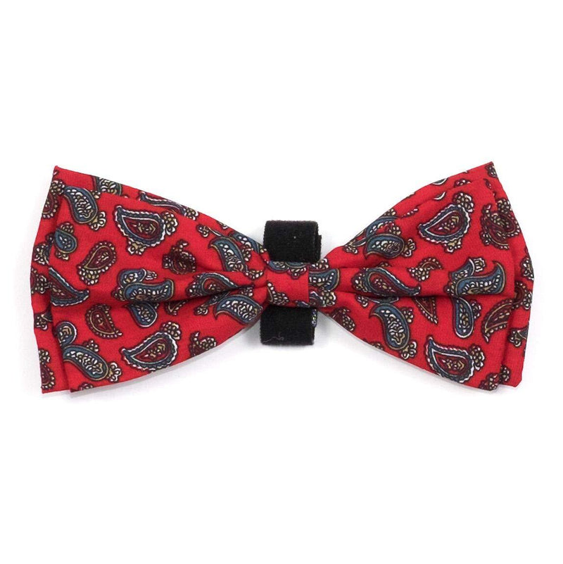[Australia] - The Worthy Dog Bow Tie L Red/White/Blue 